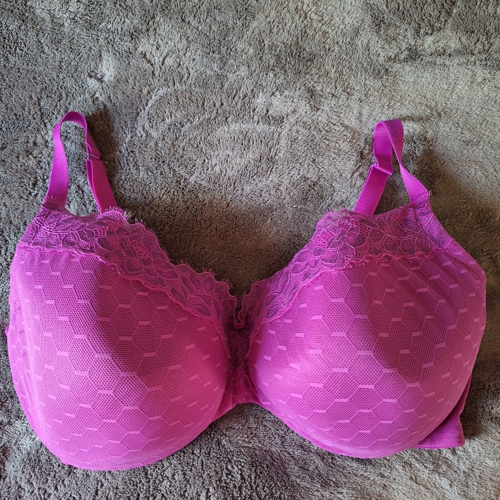 Cacique Layne Bryant Bra